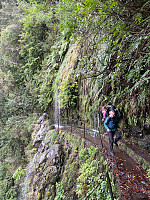 torelie_20250218_67b5040054b60.jpg