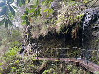 torelie_20250218_67b5040102e7b.jpg