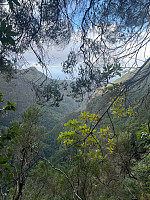 torelie_20250218_67b504023905d.jpg
