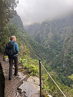 torelie_20250218_67b50402c9de4.jpg