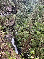 torelie_20250218_67b5040419a70.jpg