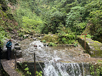 torelie_20250218_67b504053e3dd.jpg