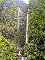 torelie_20250218_67b50405cf0ef.jpg