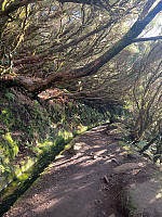 torelie_20250220_67b7858a48ef7.jpg