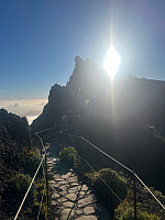 torelie_20250222_67b9a3a7bbfb6.jpg