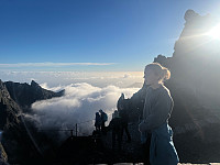 torelie_20250222_67b9a3a833c51.jpg