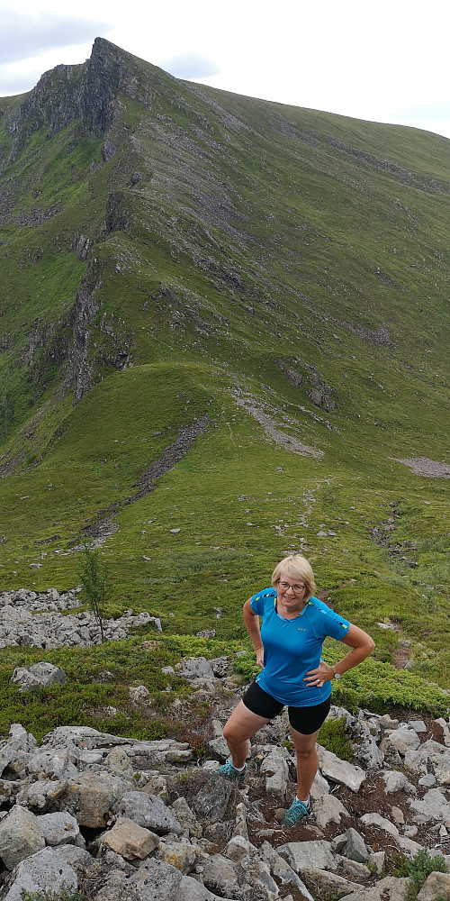 Høgheia bak 