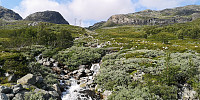 Atomsilda_20210823_612402f275334.jpg
