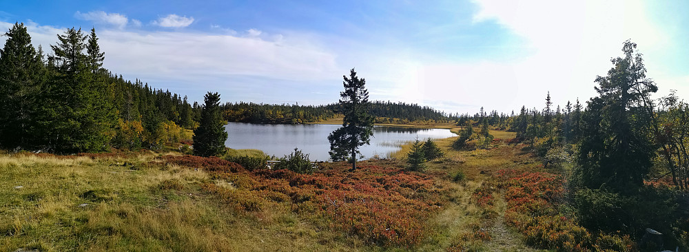 Rsusteinstjernet