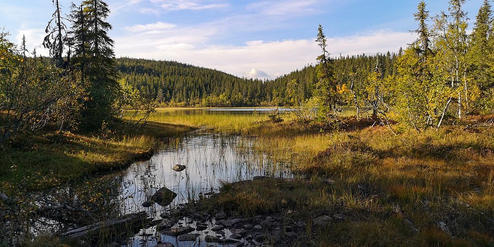 Ved Abbortjernet