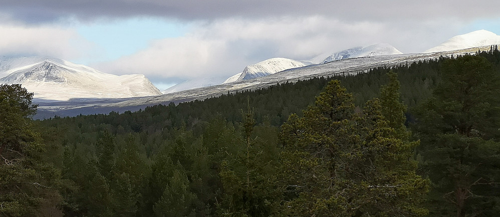 Det blir hvitere og hvitere på Rondene