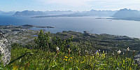 Atomsilda_20211118_6196846dd83b7.jpg