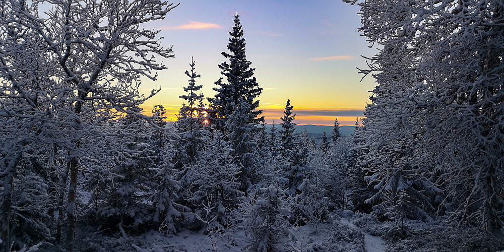 Vinter på Venholhøgda