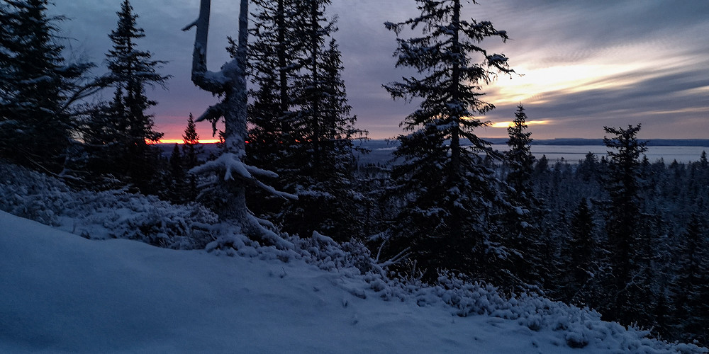 Stigningen opp mot Tjuvåsen
