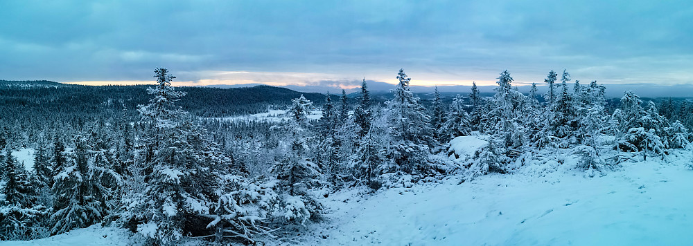 Sørover fra Tjuvåskampen 