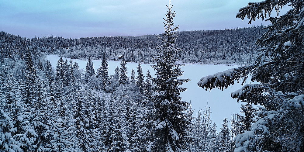 Tjuvåstjernet (701 moh) 