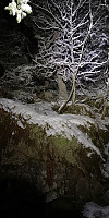 Atomsilda_20211206_61ae50abbbc97.jpg