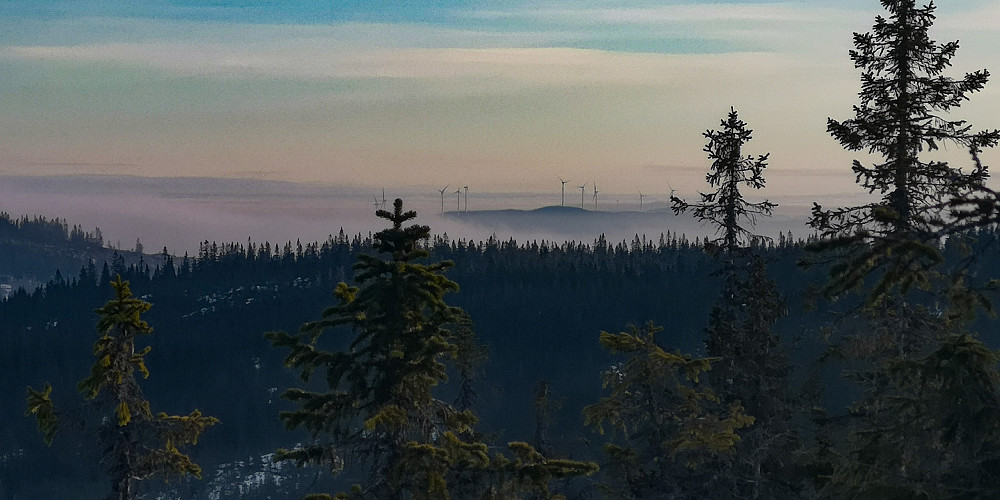 Jaggu vindmøller å se herfra også 