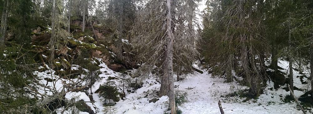 Lite snø og stusselig terreng... 