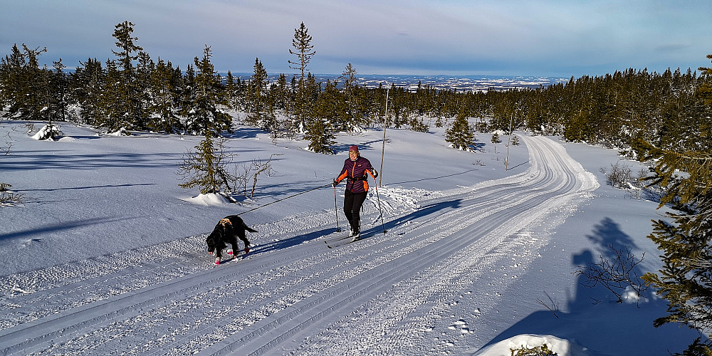På Totens tak. Utsikt nordover... mot flatbygda... Lena 
