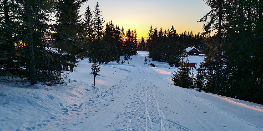 Ved Langsetra