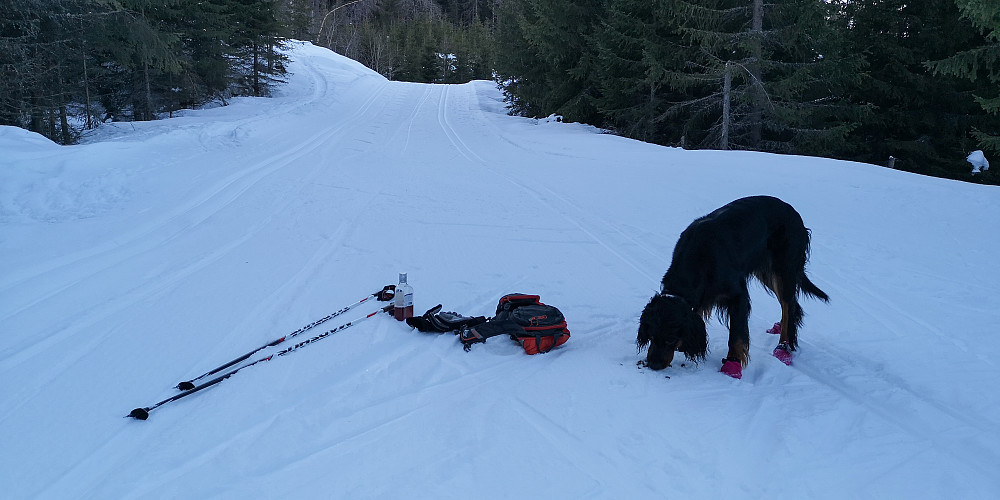Matpause.. for både to og firbeinte. Her er vi nederst ved Skjeppsjøen... før 4km med motbakke. 