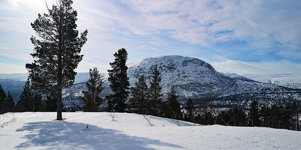 Rånåkollen