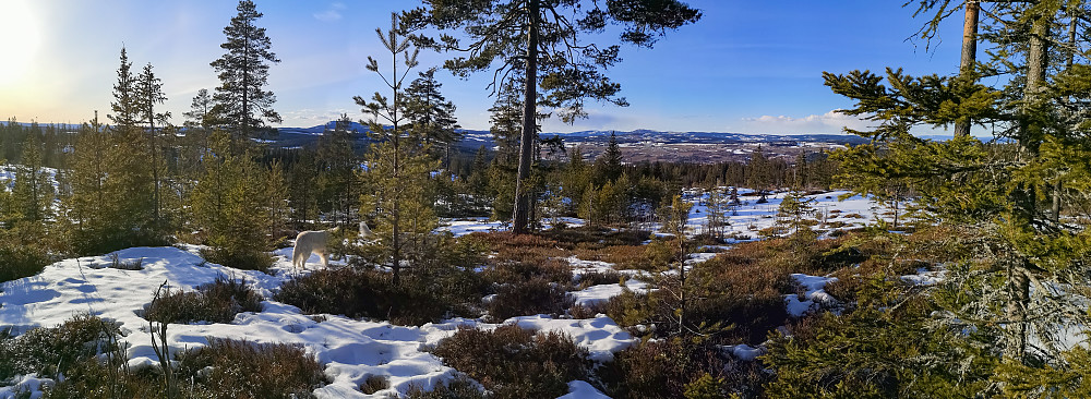 Mot Vardal