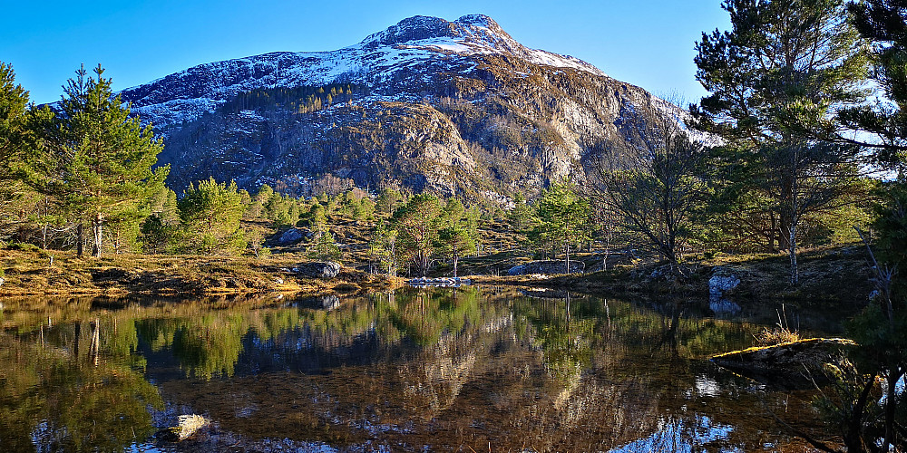 En "vannpytt" på veien mot Holsvatnet. Hestøre (503 moh) bakenfor 