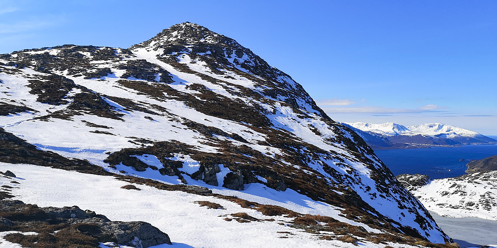 Bløkallen