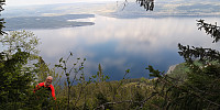 Atomsilda_20220519_628685d657a81.jpg