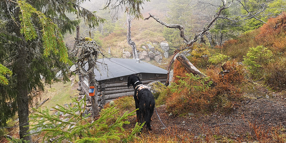 Hjemmefronthytta 