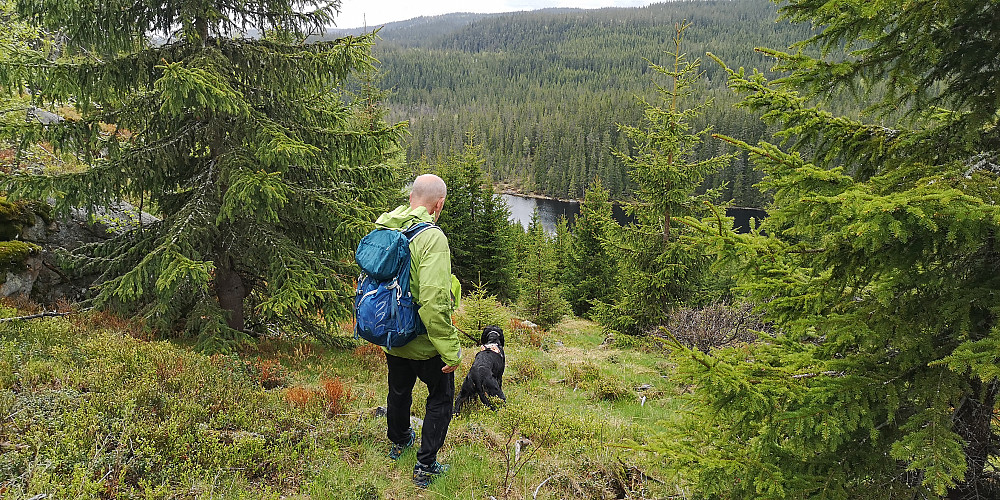 Ned mot Skomakertjernet