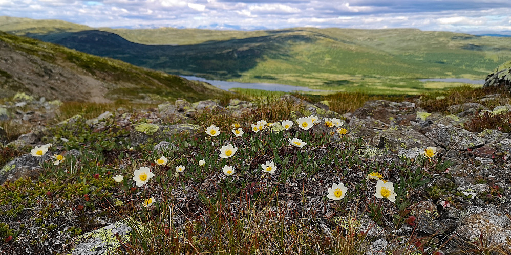 Mot Rondane... laaangt i det fjerne