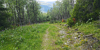 Atomsilda_20220710_62cb2f0057ebb.jpg