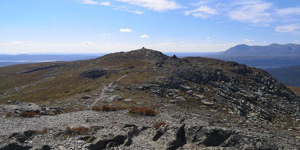 Grønnsennknippa sett fra nord 