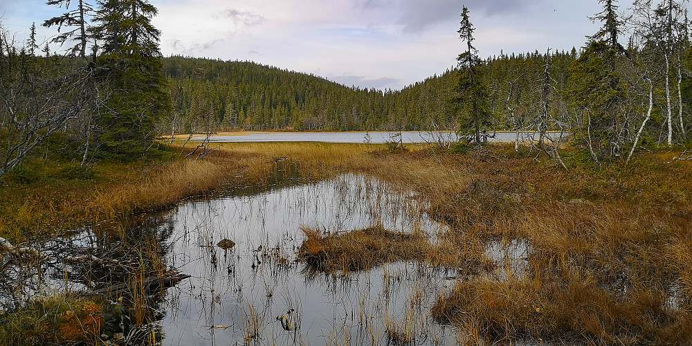 Abbortjernet i oktober