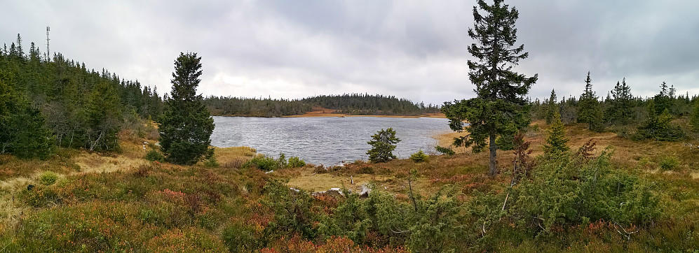 Rausteinstjernet 