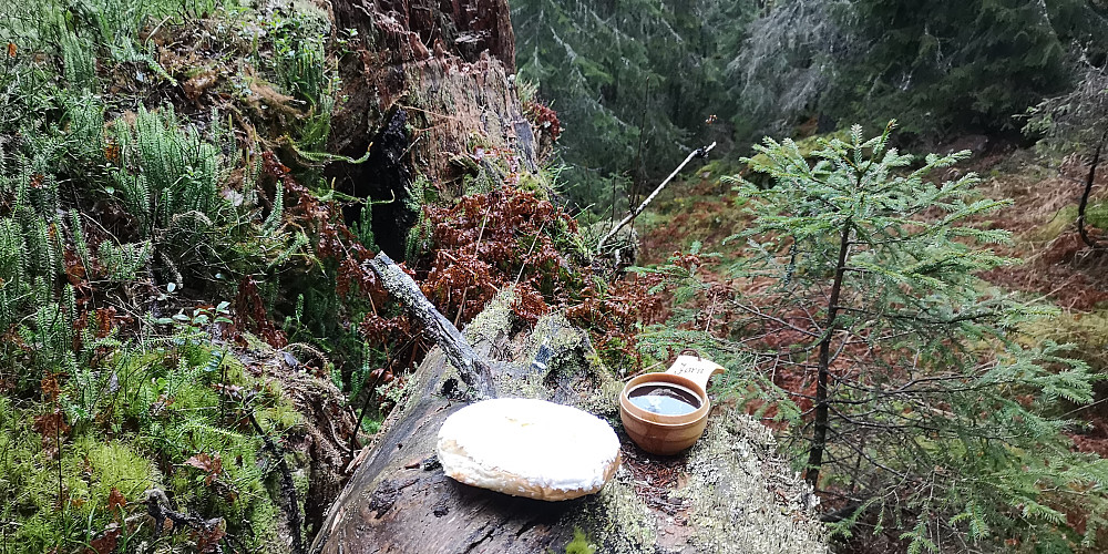 Kort stående lunch