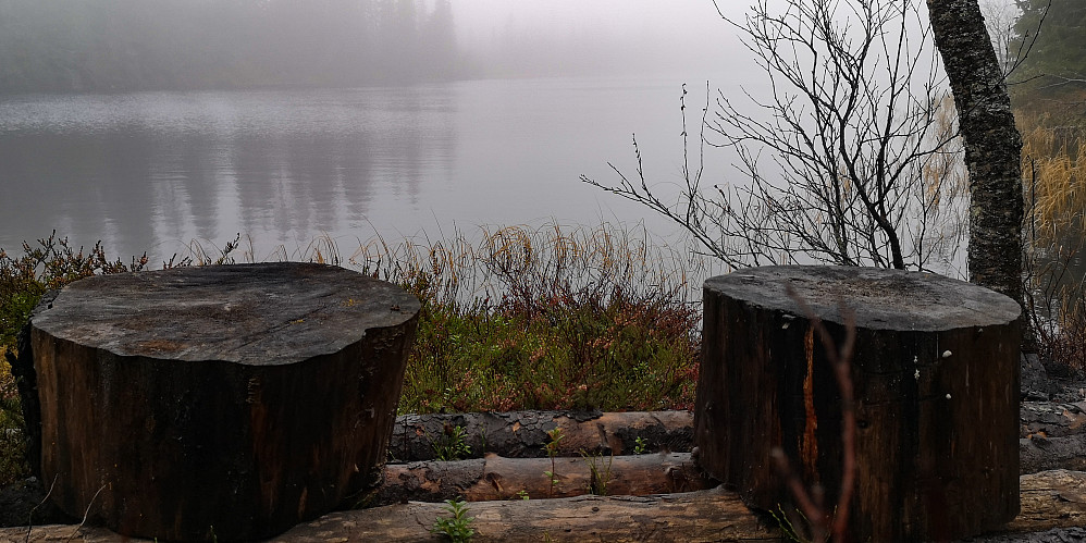 Ved Oftentjrernet. Stille dyster november. 