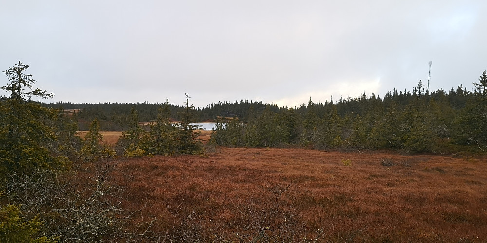 Rausteinshytta midt i bildet. 