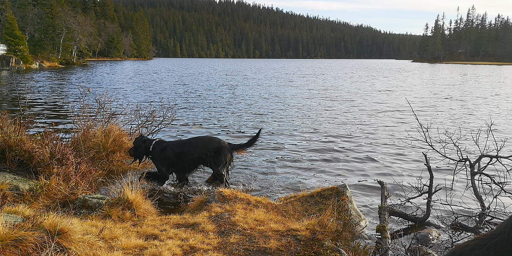 Embla ved Fisklausen