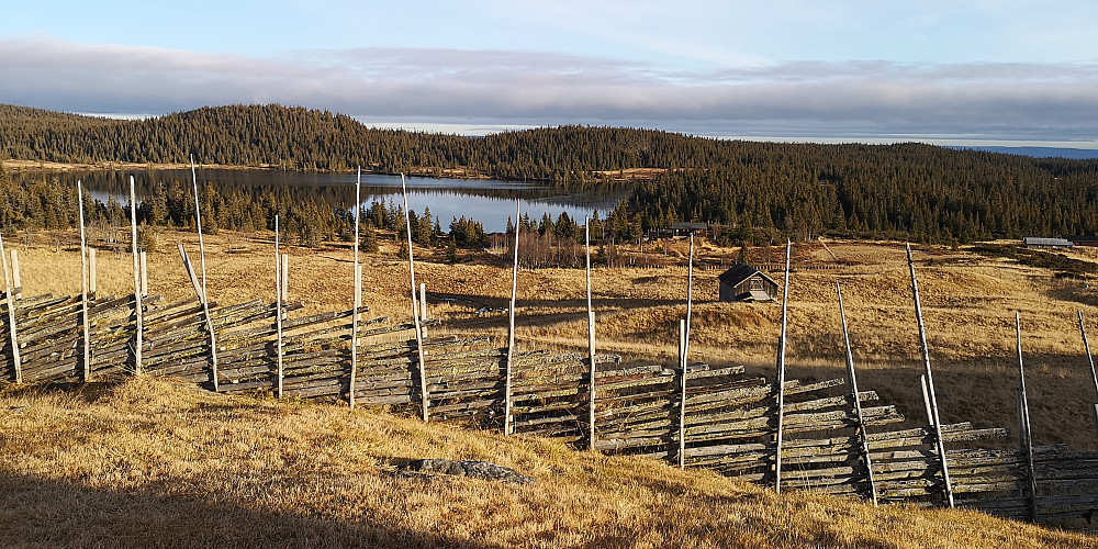 Vedc Skjeldbrejda 