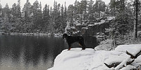 Atomsilda_20221116_637518a9f19a2.jpg
