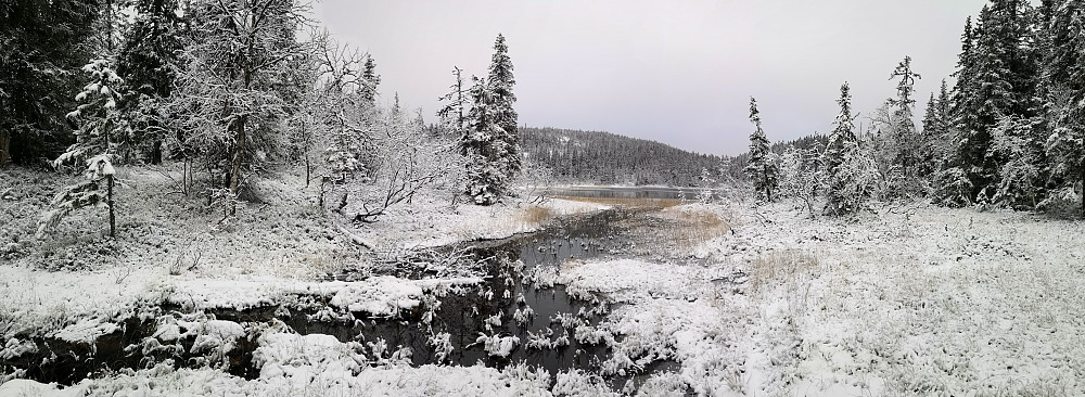 Ved Abbortjernet. Temp ca 4 minus. Isen legger seg 