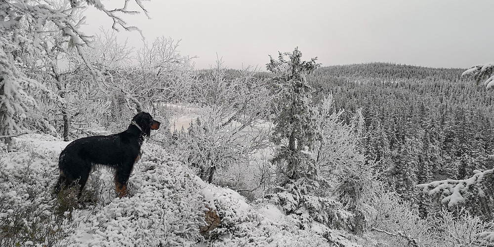 På Lommatberget
