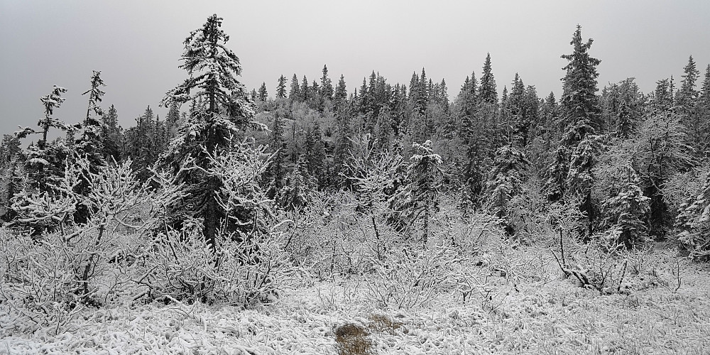 Lommatberget sett fra nordøst 
