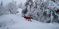 Atomsilda_20221126_63823a86375cf.jpg