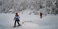 Atomsilda_20221126_63823a8851724.jpg