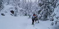 Atomsilda_20221126_63823a8b11317.jpg